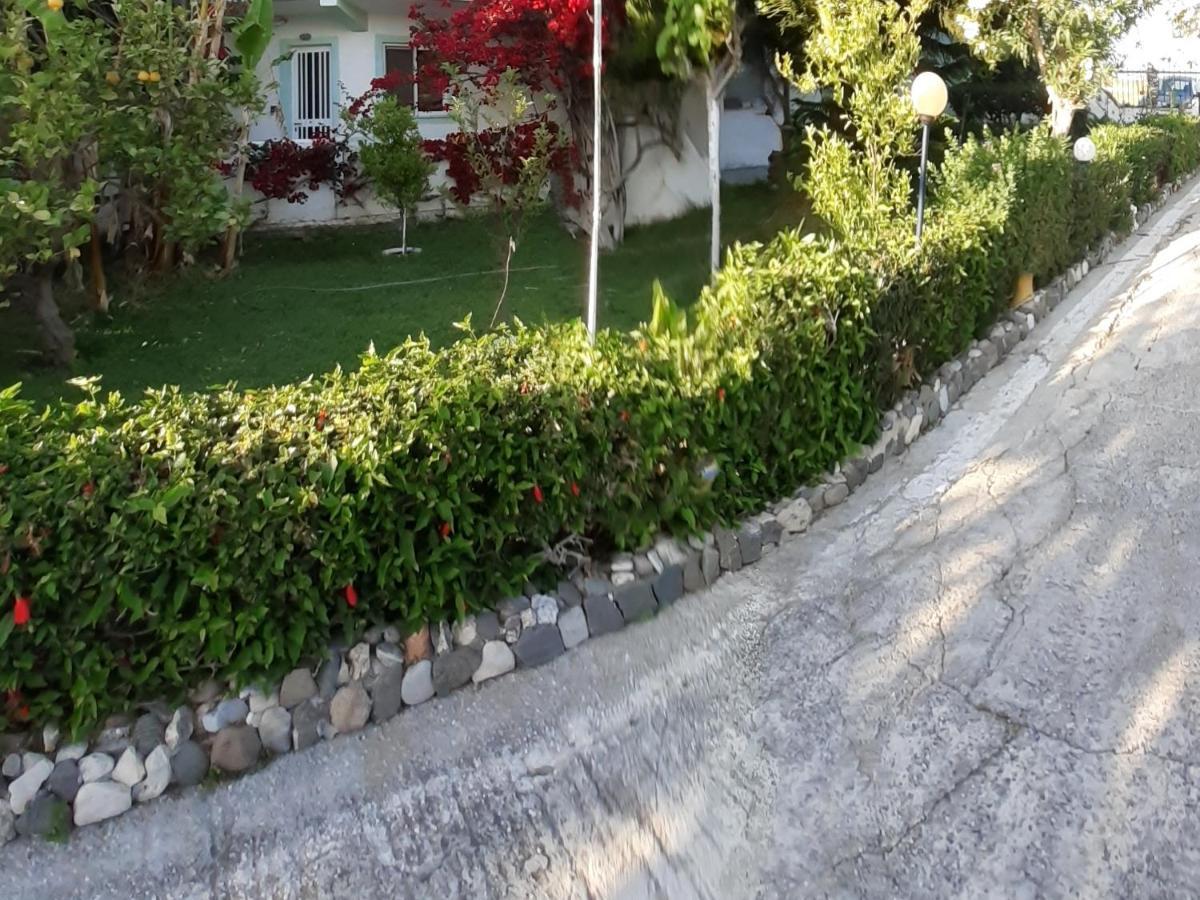 Zikas Apartments Marmari  Exterior foto